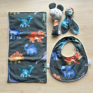 Gift Set - Dinosaurs