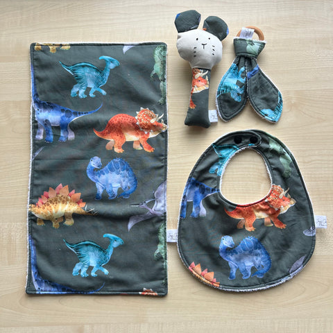 Gift Set - Dinosaurs